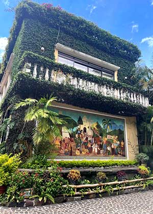 exterior shot of hospital with mural on bottom 