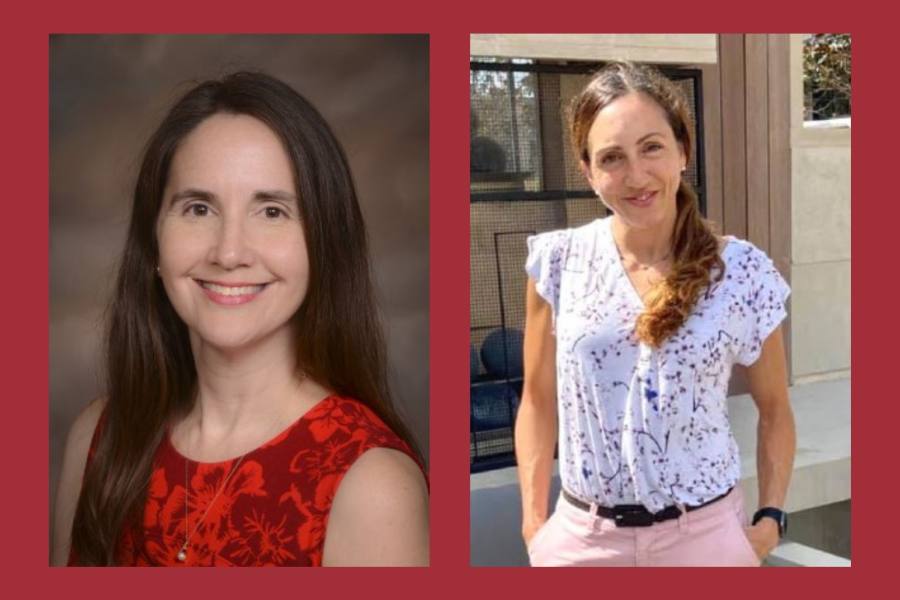 Assistant Professor Kathleen Davis, PhD, and graduate student Roxana Wroblewski