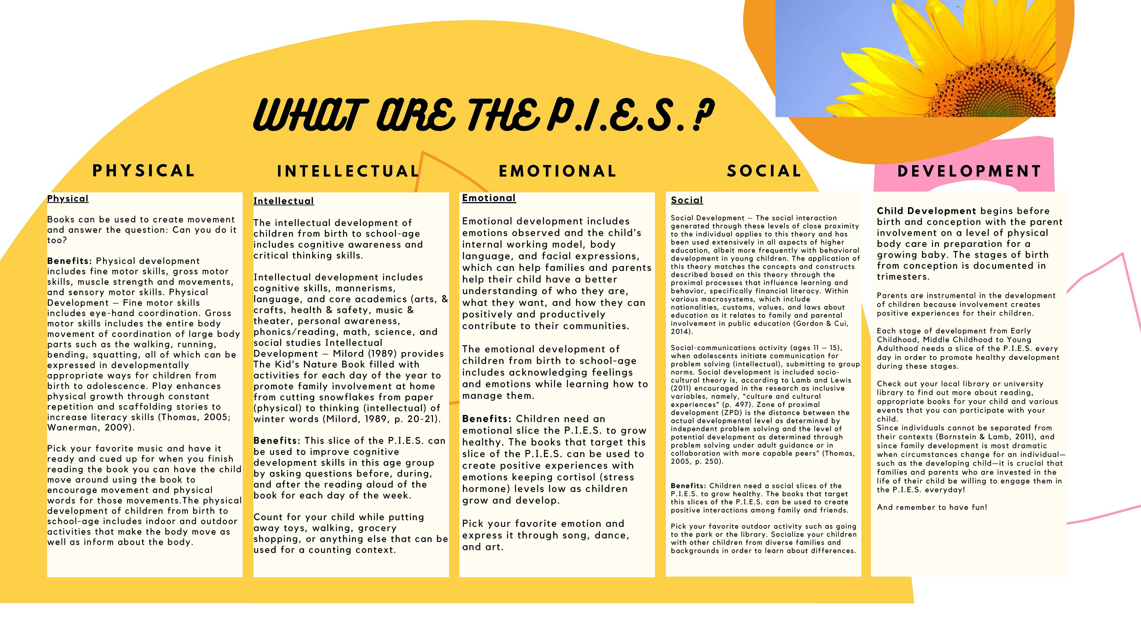 Image explaining PIES, the areas of a child
