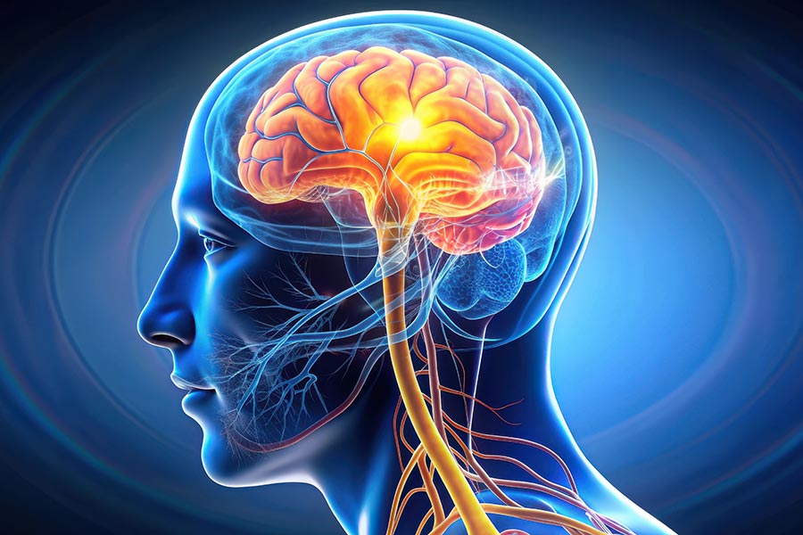 a brain is highlighted in bright colors with a blue background 