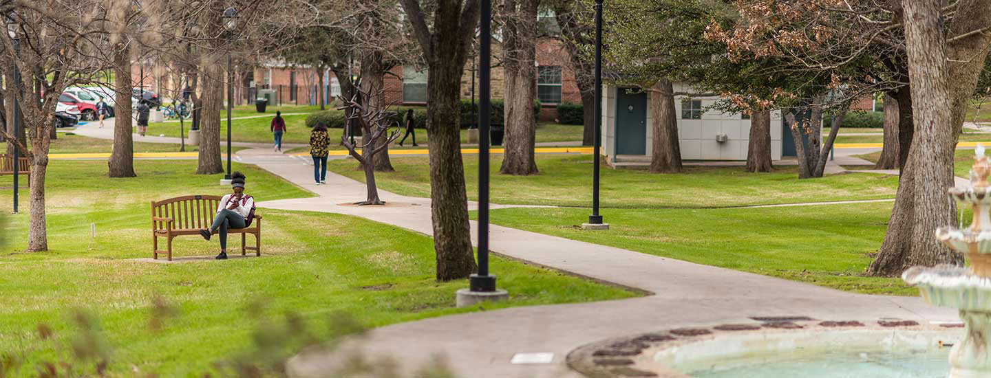 TWU campus with a student sitting on a bench beneath a tree